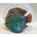 JULIANA OBJETS D’ART ART GLASS BUTTERFLY FISH (A)